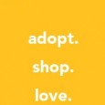 L.A. Love and Leashes