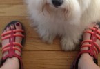 Ahnu and Sophie Coton