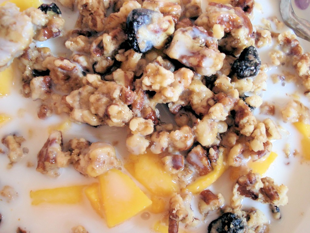 Mango Chia Ginger Granola 134