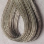 Gray Hair