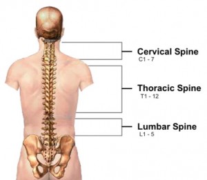 The End of Back Pain