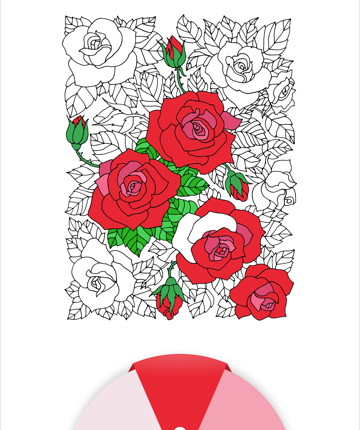 Adult Coloring Books